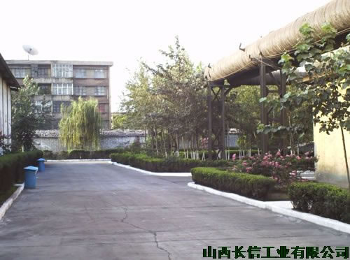 隨處可見的綠化帶